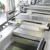 Reinigung von Schüttgut, Reinigung, HEGA Systems GmbH